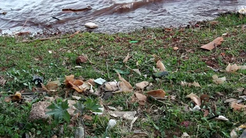 Trash and Debris Stock Footage 139002199