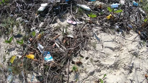 Trash and dirt on a beach in the interior of Rio de Janeiro in Maricá Stock Footage 133815915