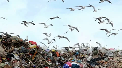Trash and garbage Stock Footage 12237218