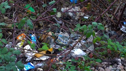 Trash and litter dumped in forest Video stock 125738925