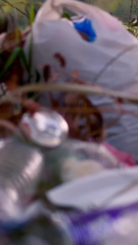 Trash and plastic debris lying on green grass near river bank Stock Footage 340577222