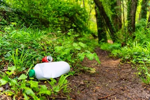 Trash and plastic on a forest trail, pollution in nature. Foto stock