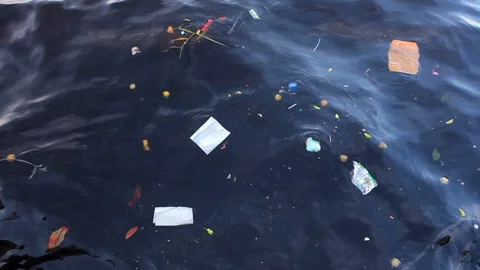 Trash and plastic on Negro river in the Amazon rainforest. Amazonas, Brazil. Vidéo 128976969