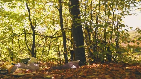 Trash in the autumn forest Video stock 219492532