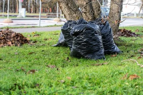 Trash bag ,black plastic garbage bags. Clean up the city park in the spring and Stock Photos