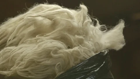 Trash bag filled with sheep wool Stock Footage 83864728