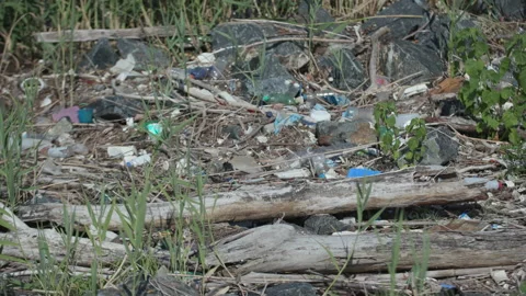 Trash At The Bay Stock Footage 135071334