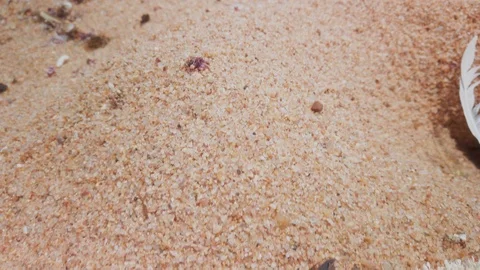 Trash on the beach 2 Stock Footage 121610776