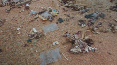 Trash on the beach 23 Stock Footage 121610822