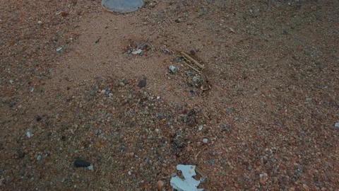 Trash on the beach 24 Stock Footage 121610911