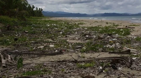 Trash on the beach 動画素材 42151049