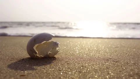 Trash on the beach Stock Footage 94685241