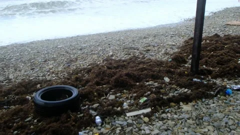 Trash on the Beach Stock Footage 94960163