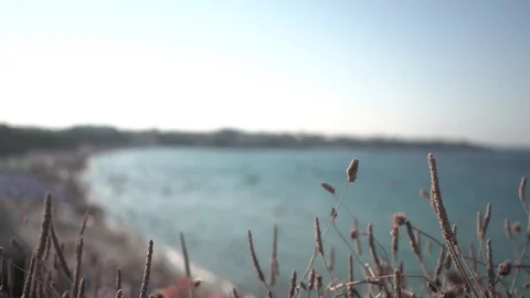 Trash on the beach Stock Footage 120599433