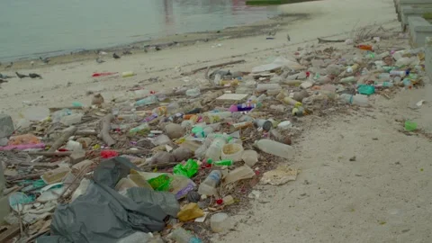 Trash on a Beach Video stock 158010887