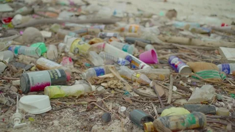 Trash on a Beach Stock Footage 158011650