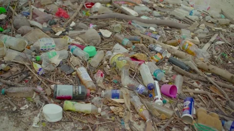 Trash on a Beach Stock Footage 158012732