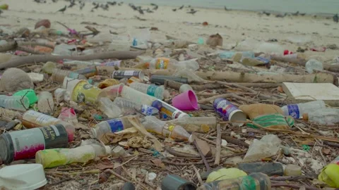 Trash on a Beach Stock Footage 158012852