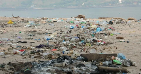 Trash in a Beach Stock Footage 320328742