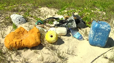 Trash at the beach in Hawaii Stock Footage 41380752