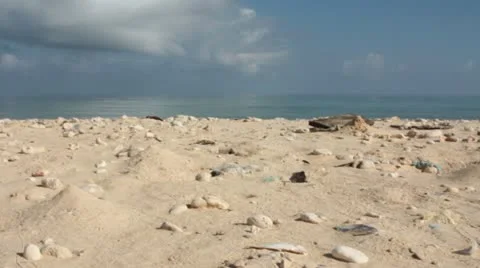 Trash on beach (HD)c Stock Footage 11495914