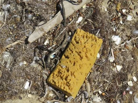 Trash on beach Stock Photos