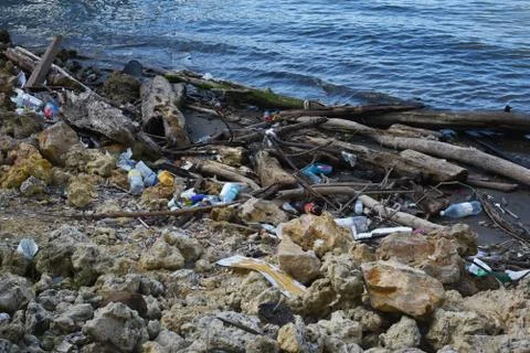 Trash on the beach Stock Photos