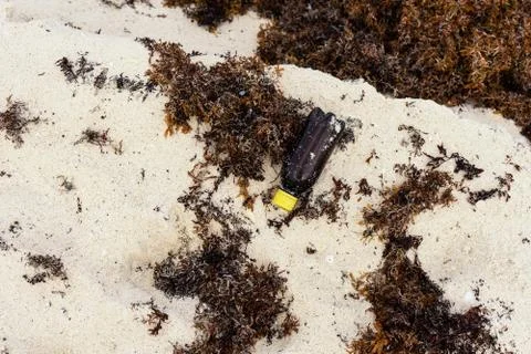 Trash on beach 库存照片