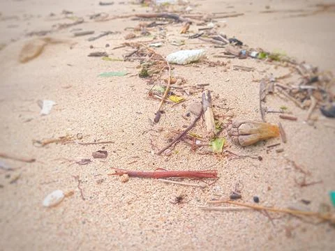 Trash on the beach Stock Photos