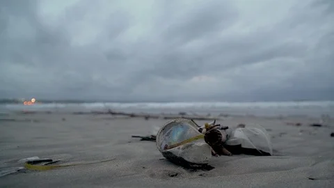 Trash on the beach, plastic in the background the ocean passes a woman Vídeo Stock 126973855