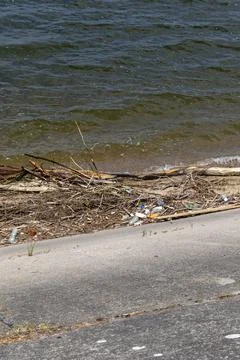 Trash on the beach washed up by waves and wind on the shore of a lake, Mitk.. Foto stock