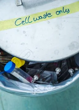 Trash bin in a laboratory. Cell waste only. Stock Photos