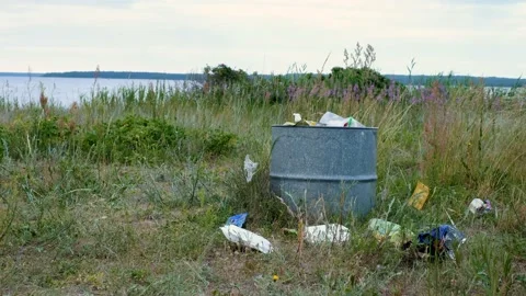 Trash bin in nature. Stock Footage 231326258