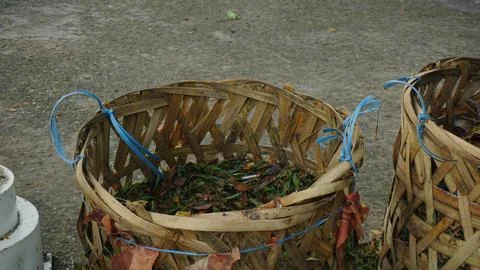 Trash Bin in the Park Stock-Fotos