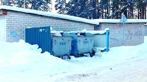 Trash bins located in a snowy area near a building surrounded by trees in the wi Stock Footage 328117136