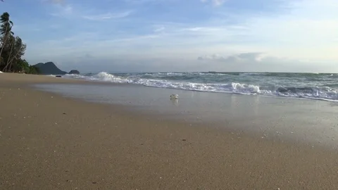 Trash bottle on the beach waves, beautiful clouds in the sky Stock Footage 121992238