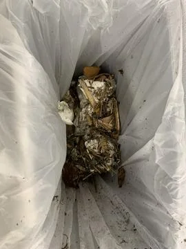 Trash can full of debris Stock Photos