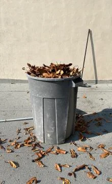 Trash can full of dry tree leaves in the fall Stock Photos