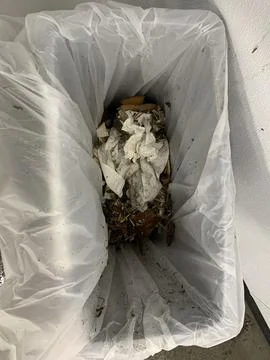 Trash can full of trash Stock Photos