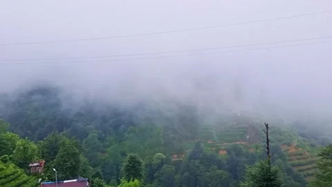 A trash can sitting in. Stock-Footage 282799719