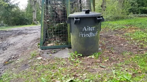 Trash can with words “Alter Friedhof”- old cemetery, grass, Schwerin, Germany Vídeos de archivo 76284333