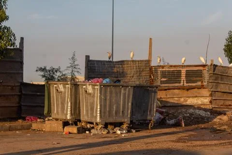 Trash cans in sunset Stock Photos