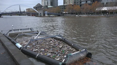 Trash collected from urban river Stock Footage 51364683