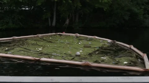 Trash collecting along a river Vidéo 326967030