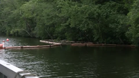 Trash collection along a river Video stock 326967095