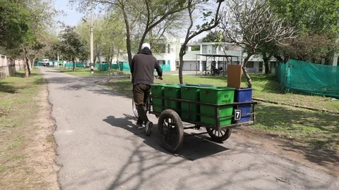 Trash Collection during Corona Virus quarantine india Stock Footage 128123548