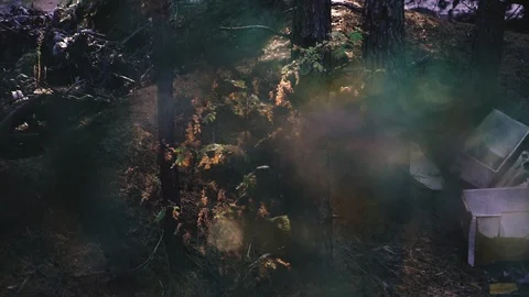 Trash. Discarded garbage in the middle of the forest. Stock Footage 120305141
