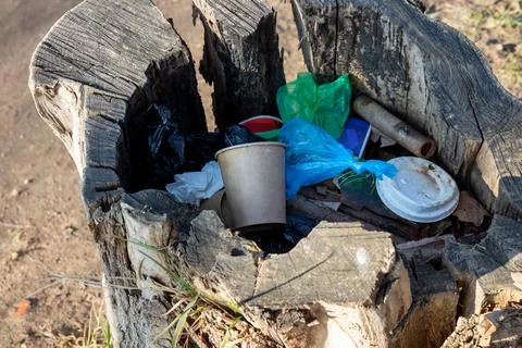 Trash discarded inside a tree stump on a city park or street. A striking cont Stock Photos