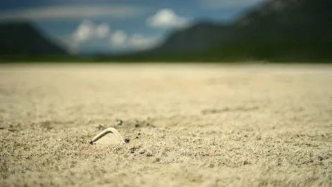 Trash in the dried mud of a mountain lake without water Stock Footage 212778472