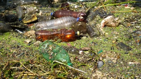 Trash is dumped in open and freely available places at nature. Plastic bottles Stock Footage 300175175